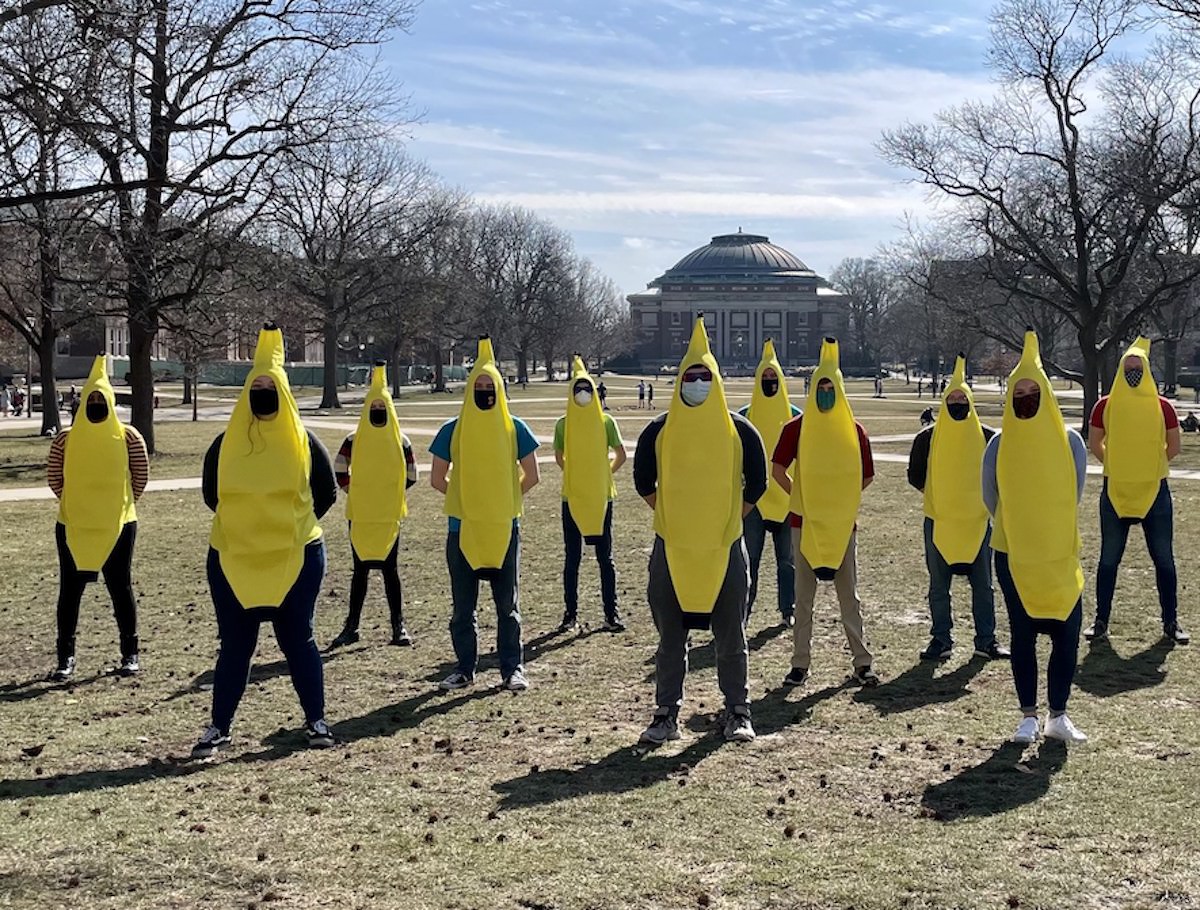 Group of figures dressed in banana suits, standing on the main quad of UIUC.