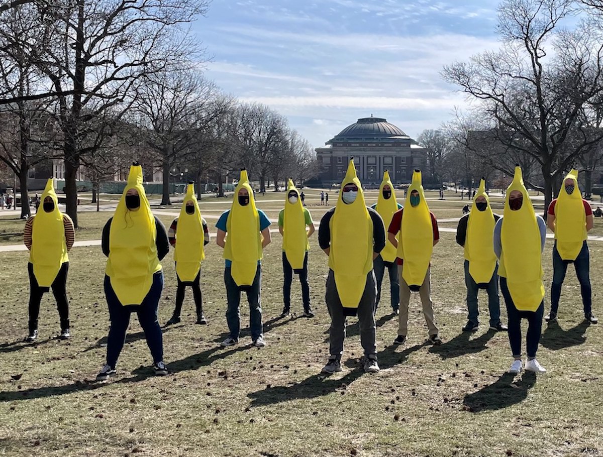 Group of figures (including Nathan Ryan) dressed in banana suits, standing on the main quad of UIUC.