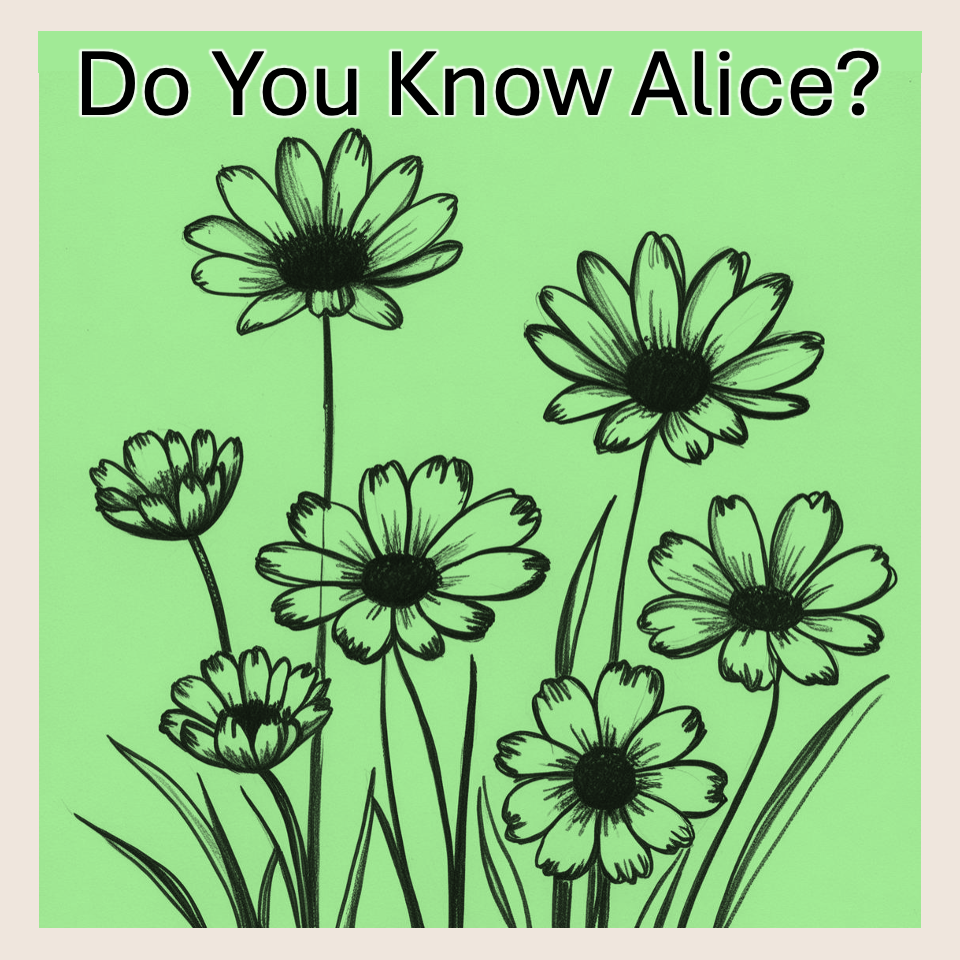 Cover of Nathan Ryan's do you know Alice interactive text puzzle.